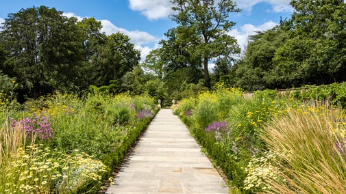 The Long Garden in the summer at Cliveden
